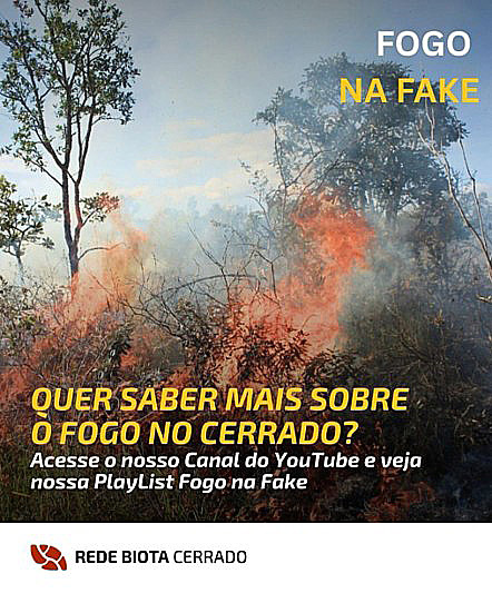 Capa da edição de março da Newsletter RBC