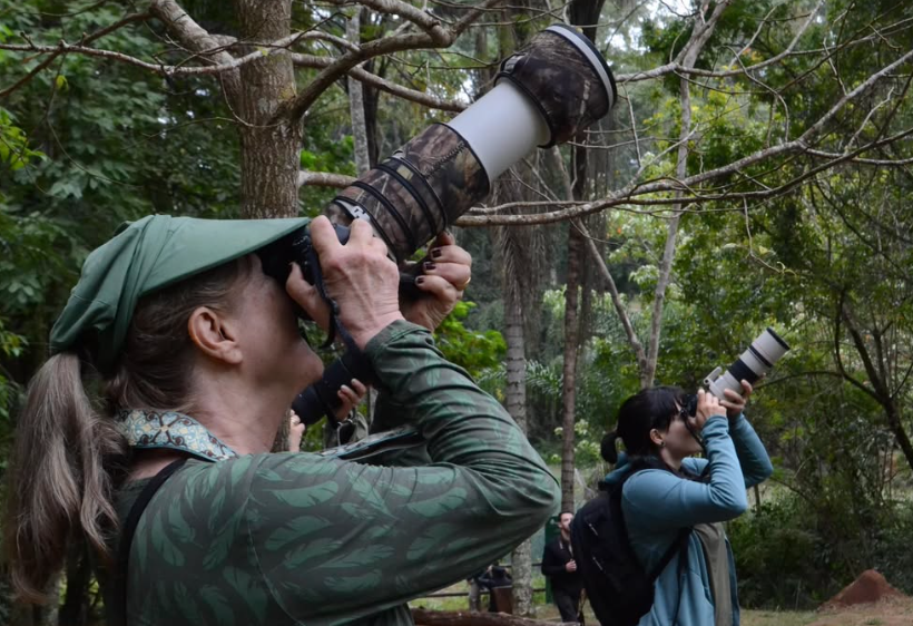 Bioblitz