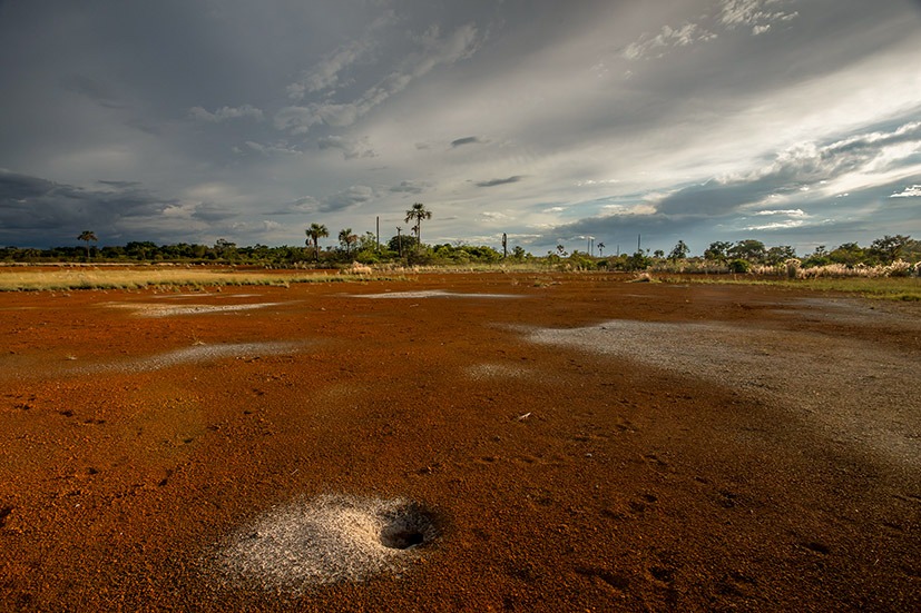 Foto Principal mudanças climáticas