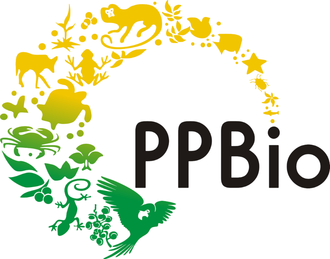 Unb Logo
